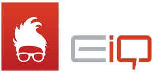 eiqnetworks_inc..png