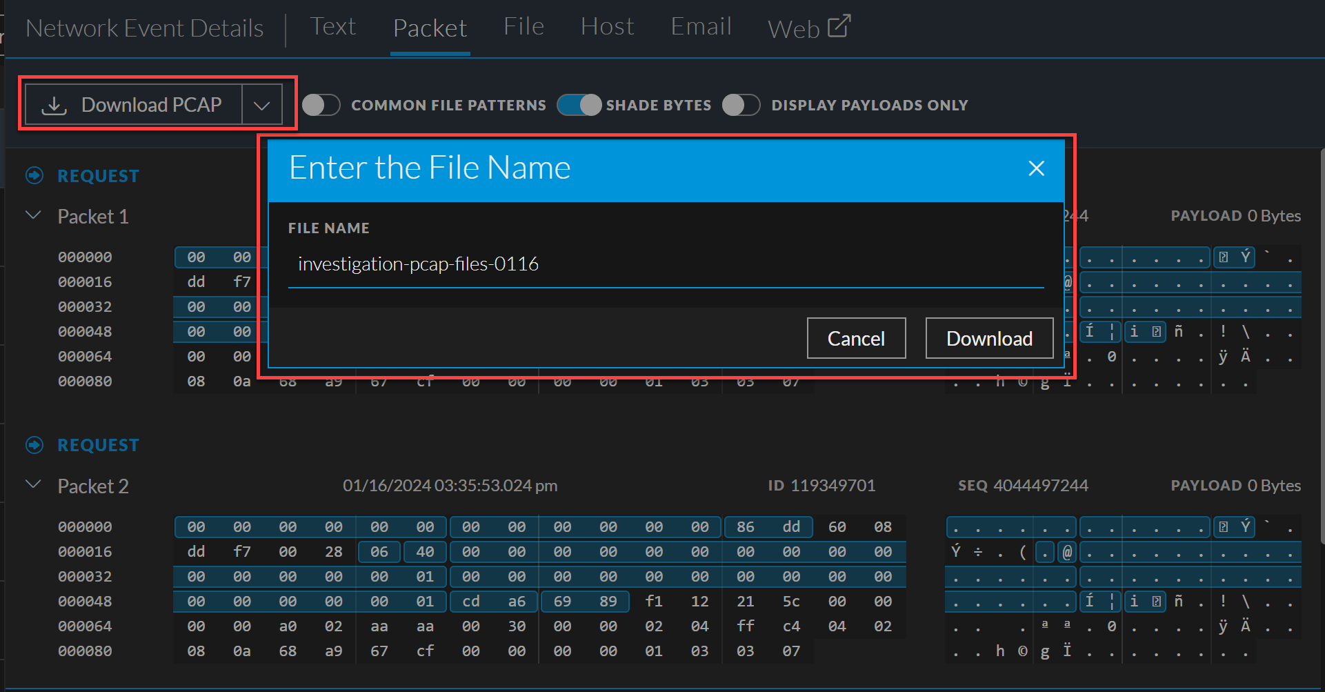 12.4_download_pcap_files.png