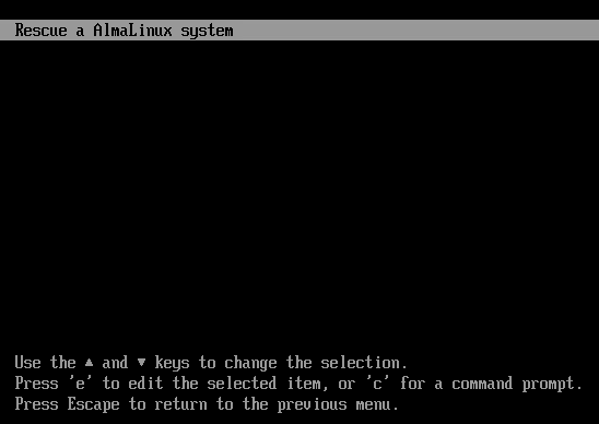 What does Troubleshooting option do when booting from a NetWitness ISO or Build Stick