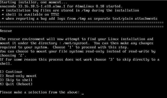 What does Troubleshooting option do when booting from a NetWitness ISO or Build Stick